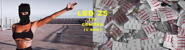 ALPHA PVP Дмитриев