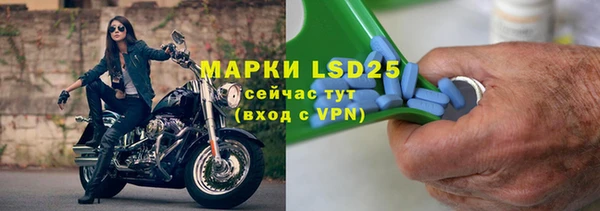 гашик Дмитров