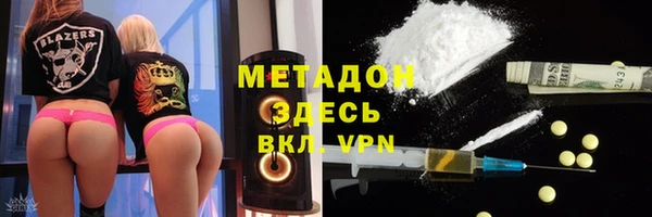 гашик Дмитров