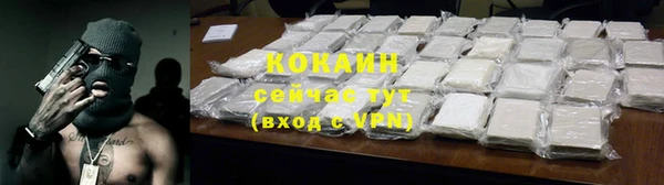 гашик Дмитров