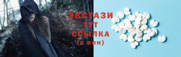 гидра Новозыбков