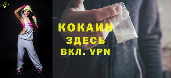 гашик Дмитров