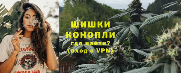 гашик Дмитров