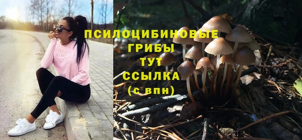 гашик Дмитров