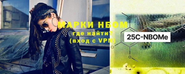 гашик Дмитров