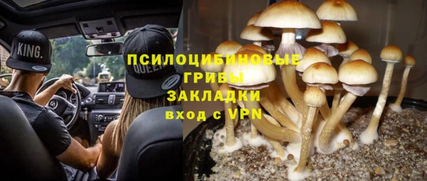 гашик Дмитров