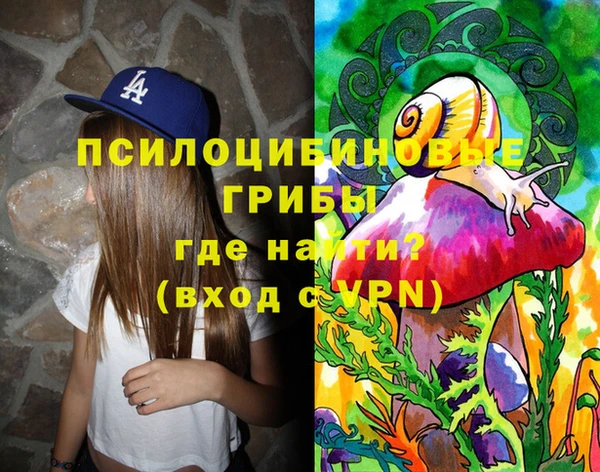 apvp Дмитровск
