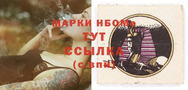 гашик Дмитров