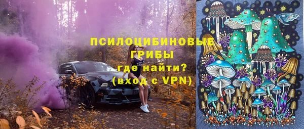 ALPHA PVP Дмитриев