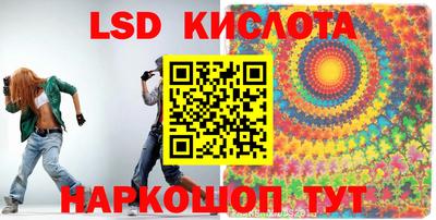 крисы Берёзовский