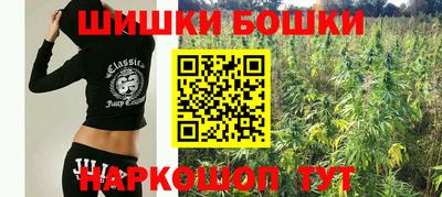 крисы Берёзовский