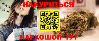 a pvp Бийск