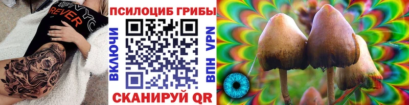 Галлюциногенные грибы GOLDEN TEACHER  Зеленодольск 