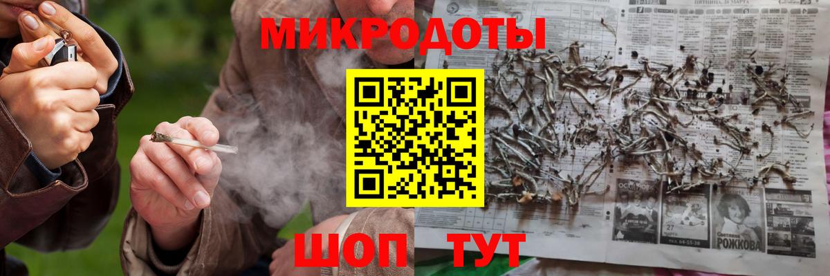 Галлюциногенные грибы Psilocybe Зеленодольск