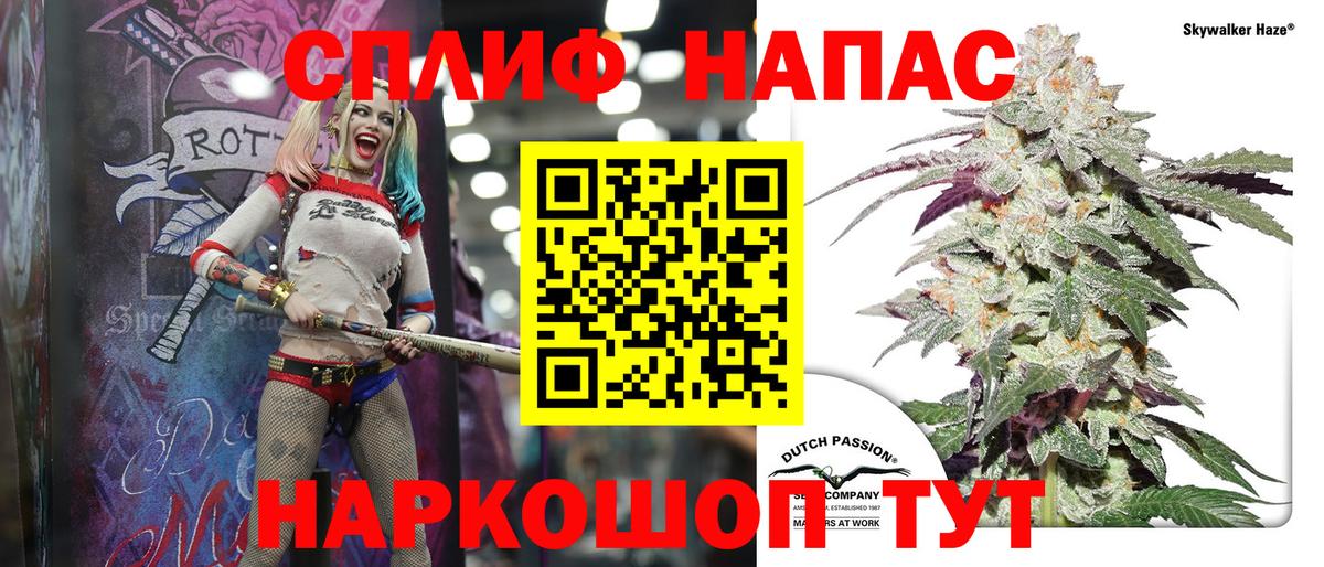 Бошки марихуана планчик  Конопля план  Зеленодольск  Вход с VPN  Шишки марихуана сатива  МАРИХУАНА ГИДРОПОН 